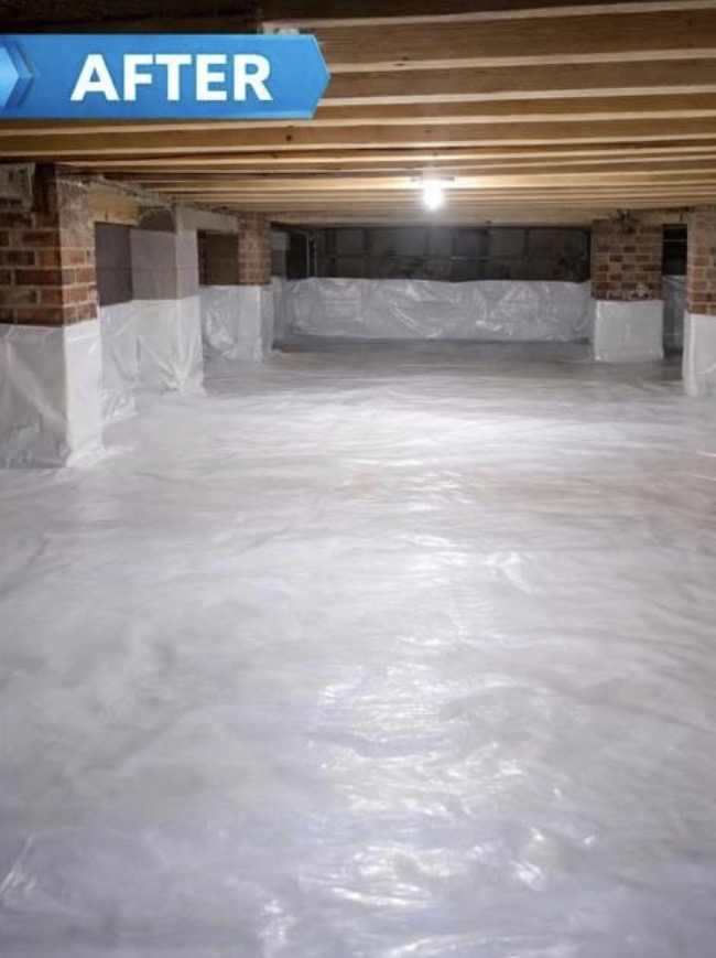 Crawlspace after professional vapor barrier installation